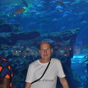 ���������� ��������������, ���� ������� ������, 55 ���, ������������ ��� ������, ����� � ���������, c�������� ���������