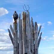  ,   Murad, 38 ,   ,   , c , 