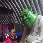 ���������� �����������, ���� ������� ����, 56 ���, ������������ ��� c�������� ���������