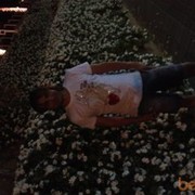 ���������� �������, ���� ������� �������, 40 ���, ������������ ��� ������, ����� � ���������, c�������� ���������