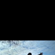 ���������� ����, ���� ������� Sergey, 42 ����, ������������ ��� ������, ����� � ���������, c�������� ���������, ���������