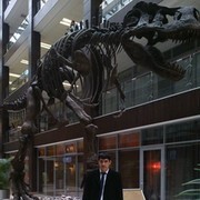 ���������� ������, ���� ������� ����, 38 ���, ������������ ��� ������