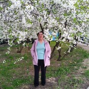 ,   , 65 ,   ,   