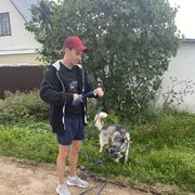 ���������� ������, ���� ������� �����, 33 ����, ������������ ��� ������, ����� � ���������