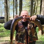  ,   , 49 ,   ,   