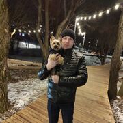 ���������� �������, ���� ������� ���������, 41 ���, ������������ ��� ������, ����� � ���������, c�������� ���������