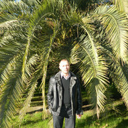 ���������� ������, ���� ������� ������, 43 ����, ������������ ��� ������