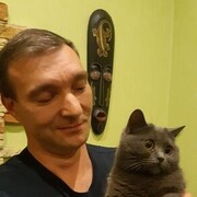   ,   , 50 ,   ,   , c 