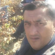  ,   , 51 ,   