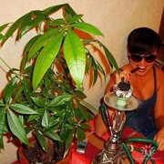  ,   , 42 ,   ,   , c 