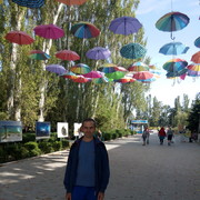   ,   , 49 ,     , c 