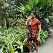 ���������� ������, ���� ������� ����������, 38 ���, ������������ ��� ������, ����� � ���������, c�������� ���������