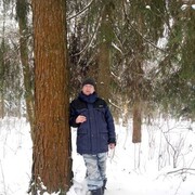 ���������� ������, ���� ������� �������, 44 ����, ������������ ��� ����� � ���������, c�������� ���������, ���������