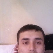  ,   Sardor, 36 ,   ,   , c 