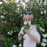  ,   , 55 ,   ,   
