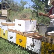 ���������� �������, ���� ������� 3�5�0�6�0�14, 48 ���, ������������ ��� ����� � ���������, c�������� ���������