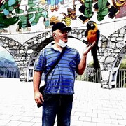  ,   , 45 ,   ,   