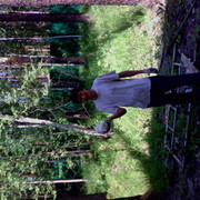  ,  Ulugbek, 35