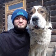 ���������� ������������, ���� ������� �����, 31 ���, ������������ ��� ������, ����� � ���������, c�������� ���������