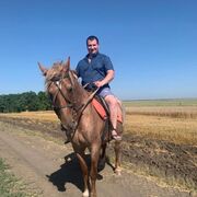 ���������� ������, ���� ������� ���������, 37 ���, ������������ ��� ����� � ���������, c�������� ���������