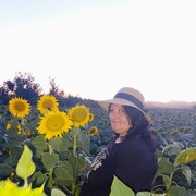  -,   , 48 ,   ,   
