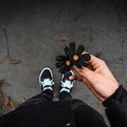  ,    , 30 ,   ,   , c , 