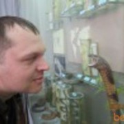 ���������� ����, ���� ������� ��������, 46 ���, ������������ ��� ������