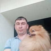 ���������� ���������, ���� ������� ������, 41 ���, ������������ ��� ����� � ���������, c�������� ���������