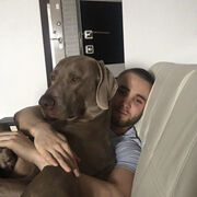  ,   Artem, 29 ,   ,   