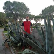  Cesano Boscone,  , 41
