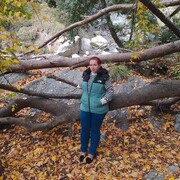 ���������� �����������, ��������