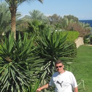 ���������� �����, ���� ������� �������, 50 ���, ������������ ��� ������, ����� � ���������, c�������� ���������