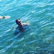 ���������� ������ ��������, ���� ������� �������, 31 ���, ������������ ��� ������, ����� � ���������, c�������� ���������, ���������