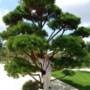 ���������� �����-���������, ���� ������� ������, 58 ���, ������������ ��� ����� � ���������, c�������� ���������