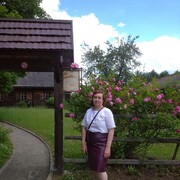 ���������� ������, ���� ������� �������, 55 ���, ������������ ��� ����� � ���������, c�������� ���������