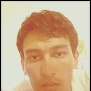  ,   Lion, 32 ,   , 