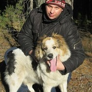 ���������� �������, ���� ������� �������, 31 ���, ������������ ��� ������, ����� � ���������, c�������� ���������