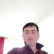 ,  Dimo, 37