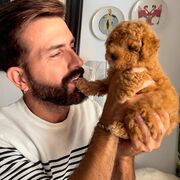 ���������� �����������, ���� ������� ������, 35 ���, ������������ ��� ������, ����� � ���������, c�������� ���������, ���������