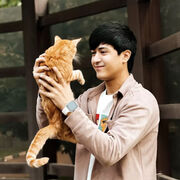 ���������� ������������, ���� ����� KING, 21 ���, ������������ ��� ������, ����� � ���������