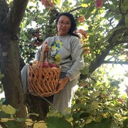 ���������� ������, ���� ������� �����, 62 ����, ������������ ��� ������, ����� � ���������, c�������� ���������, ���������