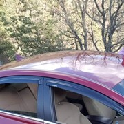 ���������� �������, ���� ������� Tim, 40 ���, ������������ ��� ������, ����� � ���������, c�������� ���������, ���������