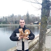  ,   , 38 ,     , c 