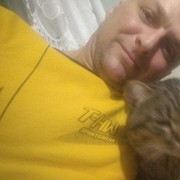 ���������� �������, ���� ������� �������, 40 ���, ������������ ��� ������, ����� � ���������, c�������� ���������