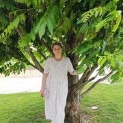  -,   , 55 ,     , c 