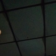  -,   , 49 ,  