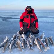 ���������� ������, ���� ������� Roman, 50 ���, ������������ ��� ������, ����� � ���������