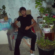  ,   B O R O, 36 ,   ,   , c 