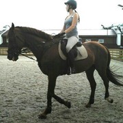 ���������� ������, ���� ������� ���, 26 ���, ������������ ��� ������, ����� � ���������, c�������� ���������