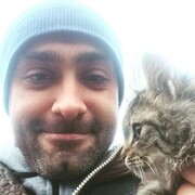 ���������� ��������������, ���� ������� ����, 38 ���, ������������ ��� ������, ����� � ���������, c�������� ���������, ���������